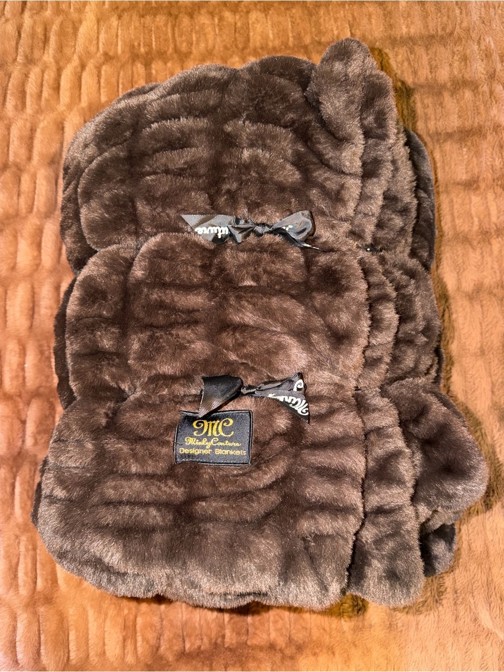 Minky Couture Hugs Lizi Blanket